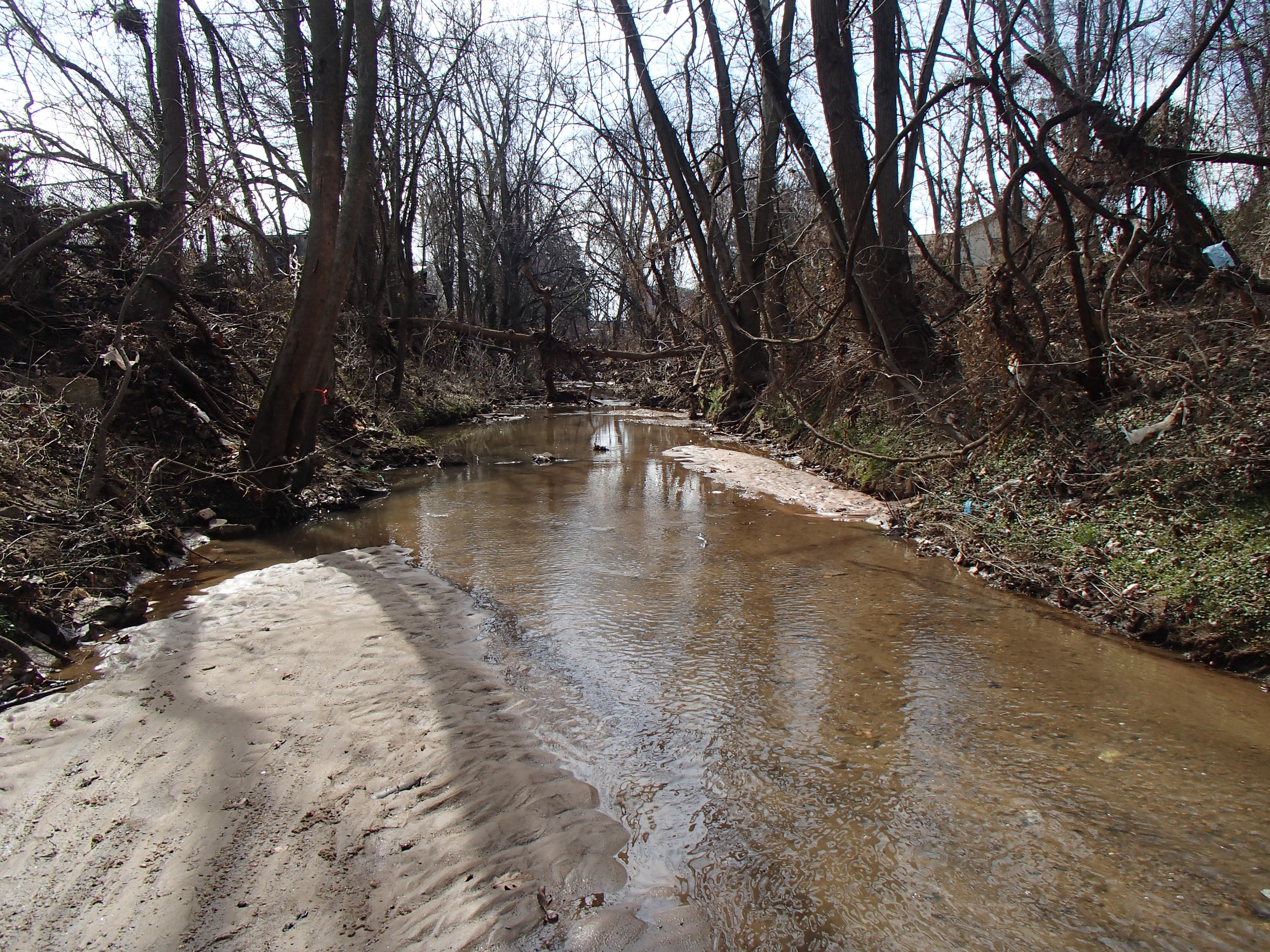 Field photo showing stream conditions at site BACK-111-R-2016_midpoint downstream